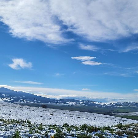 Apartament Casa Per L'Osticcio Vista Sulla Val D'Orcia Montalcino Zewnętrze zdjęcie