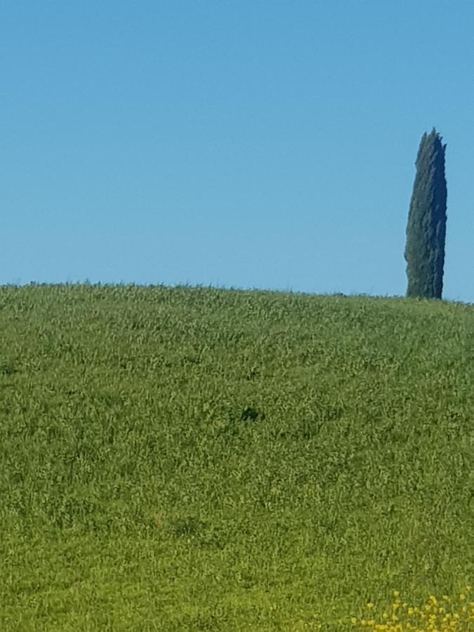 Apartament Casa Per L'Osticcio Vista Sulla Val D'Orcia Montalcino Zewnętrze zdjęcie