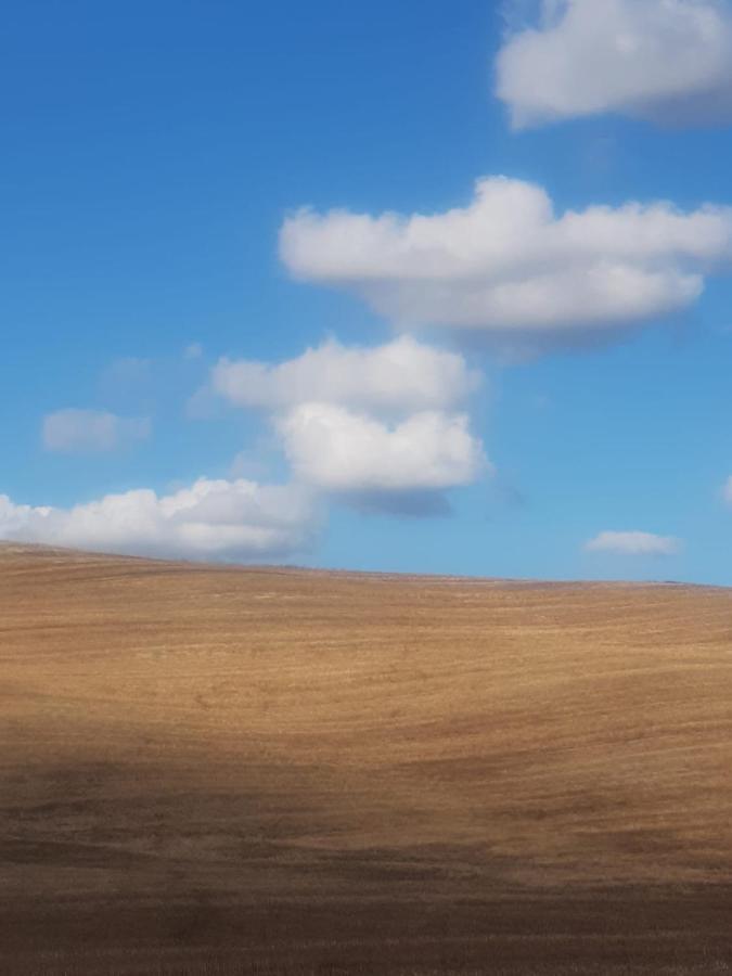 Apartament Casa Per L'Osticcio Vista Sulla Val D'Orcia Montalcino Zewnętrze zdjęcie