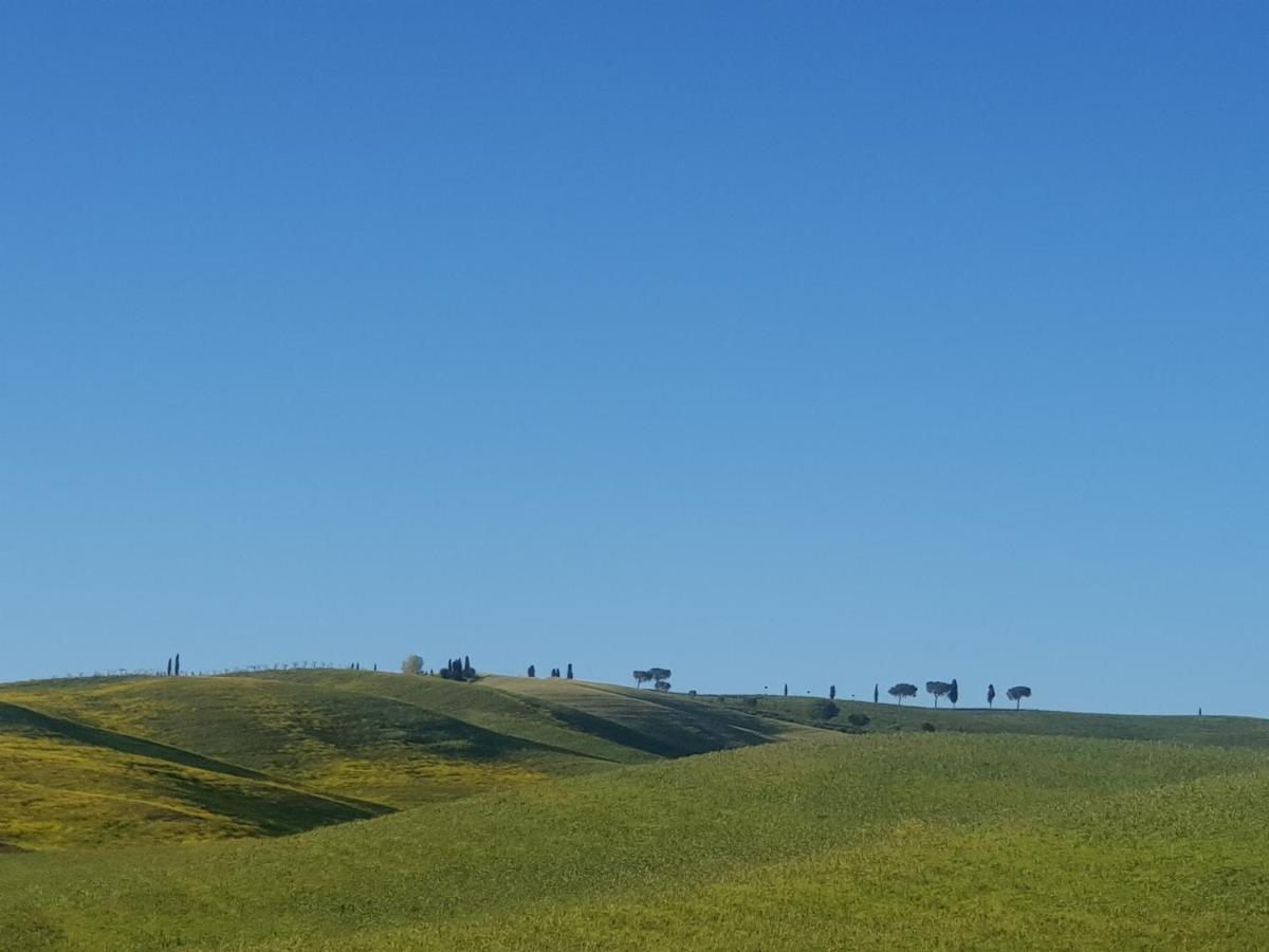 Apartament Casa Per L'Osticcio Vista Sulla Val D'Orcia Montalcino Zewnętrze zdjęcie