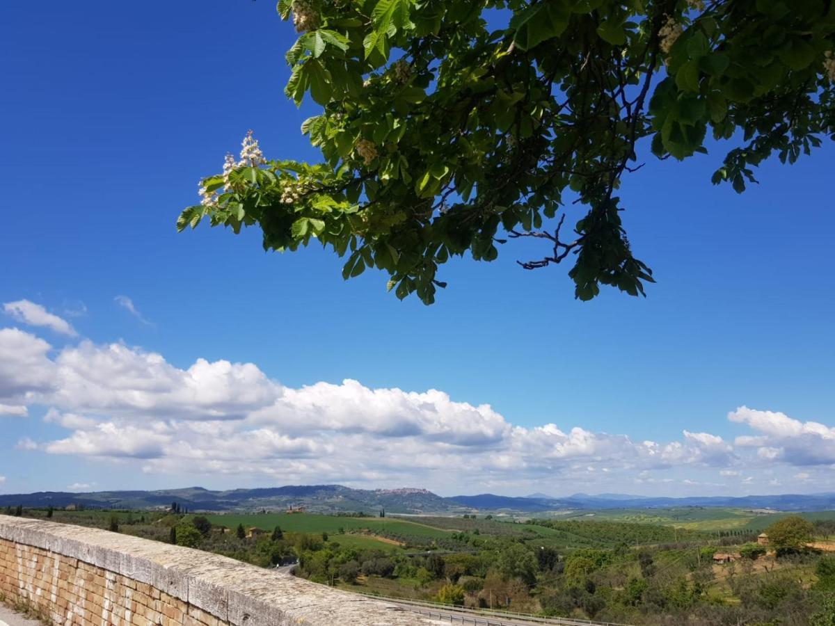 Apartament Casa Per L'Osticcio Vista Sulla Val D'Orcia Montalcino Zewnętrze zdjęcie