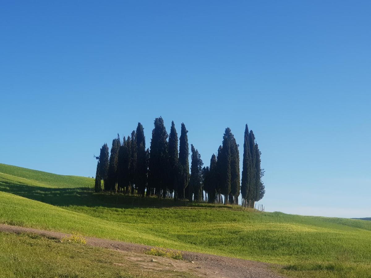 Apartament Casa Per L'Osticcio Vista Sulla Val D'Orcia Montalcino Zewnętrze zdjęcie