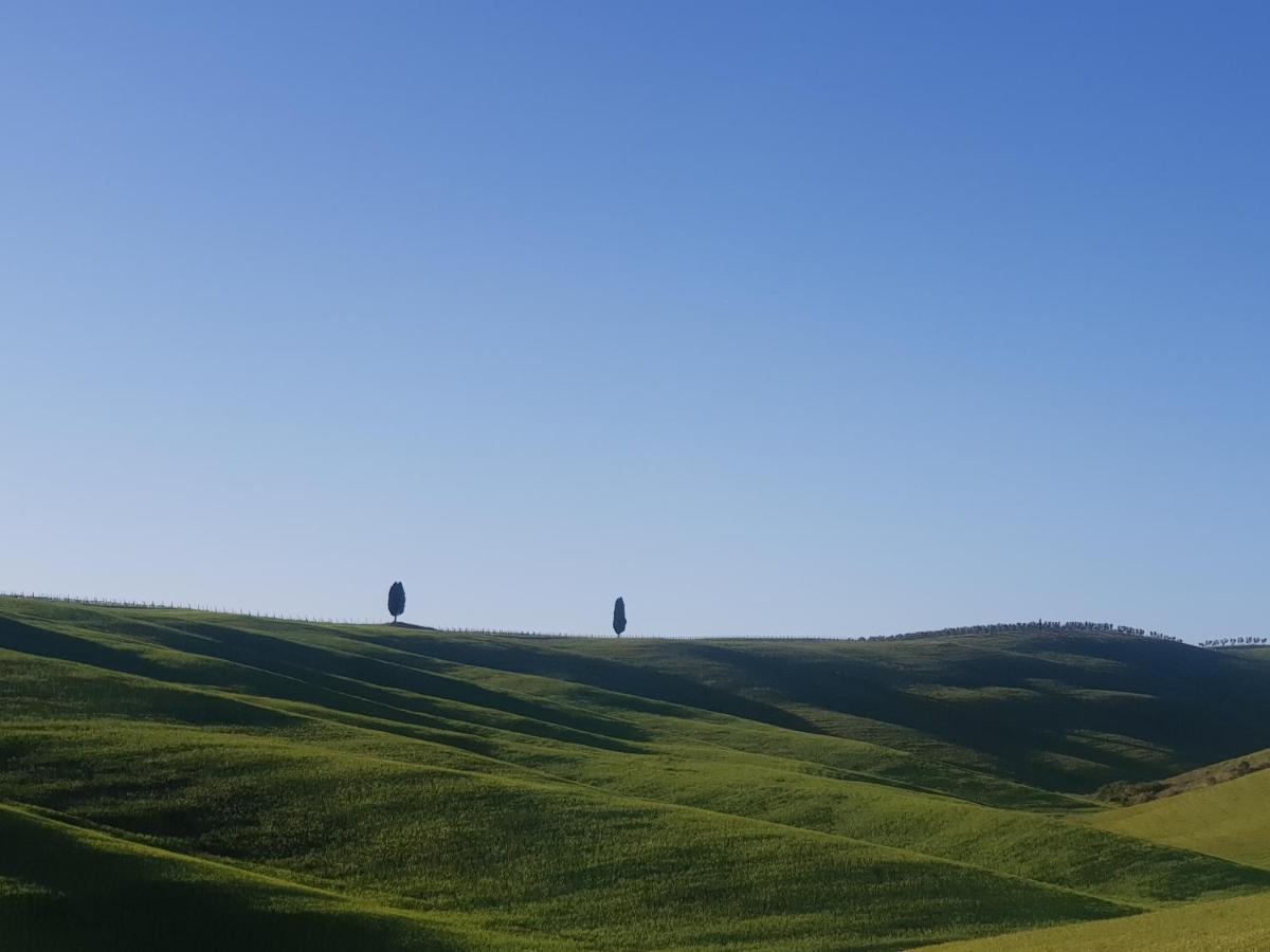 Apartament Casa Per L'Osticcio Vista Sulla Val D'Orcia Montalcino Zewnętrze zdjęcie