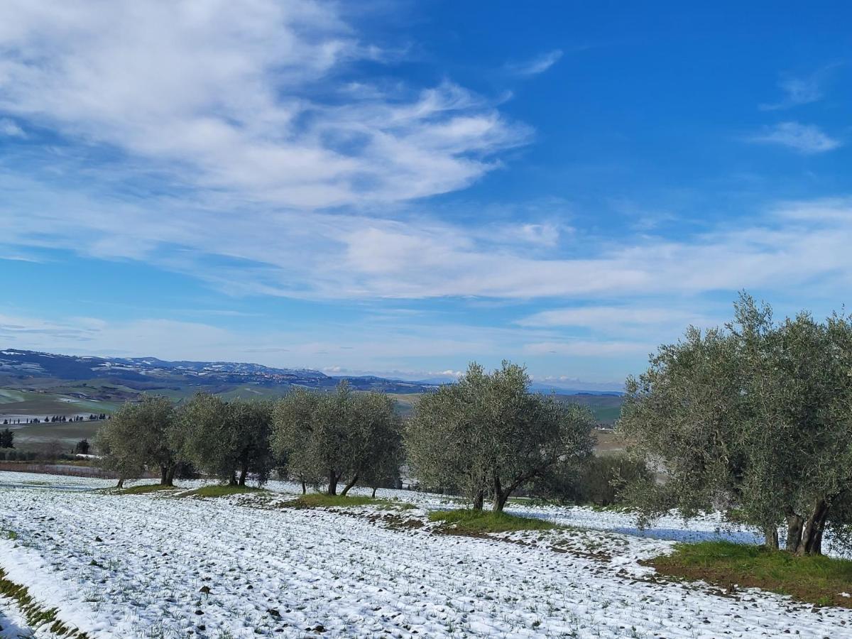 Apartament Casa Per L'Osticcio Vista Sulla Val D'Orcia Montalcino Zewnętrze zdjęcie