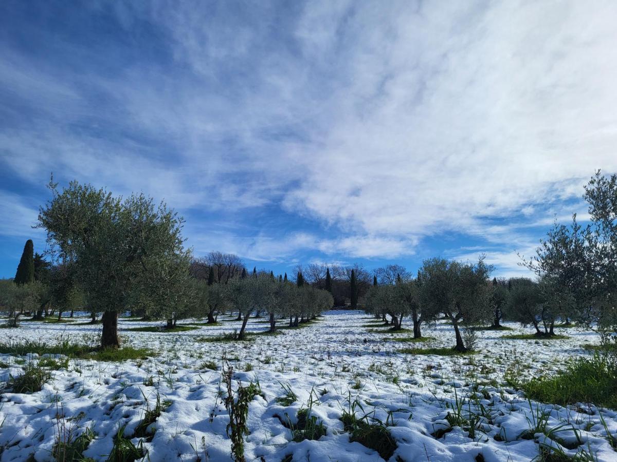 Apartament Casa Per L'Osticcio Vista Sulla Val D'Orcia Montalcino Zewnętrze zdjęcie