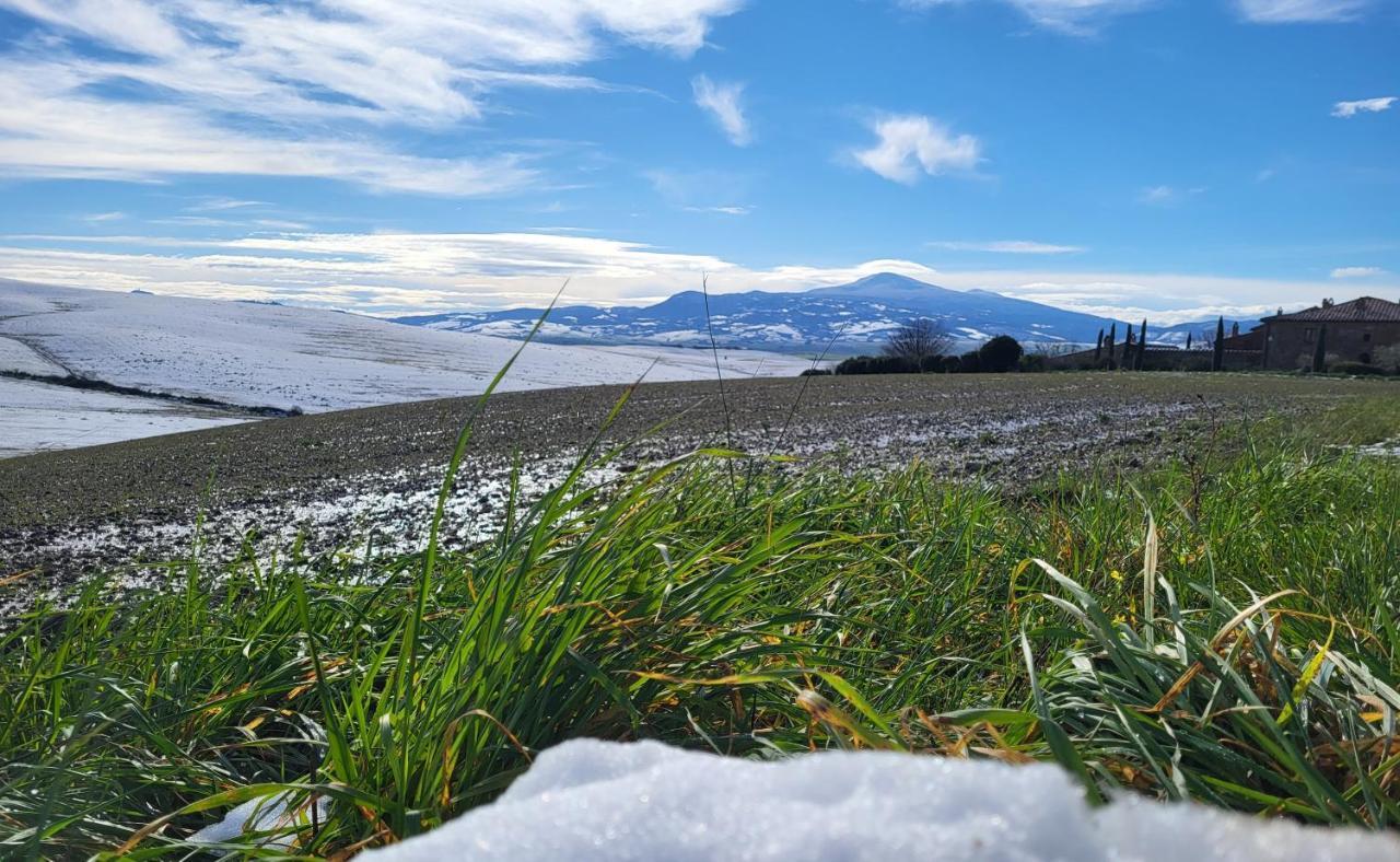 Apartament Casa Per L'Osticcio Vista Sulla Val D'Orcia Montalcino Zewnętrze zdjęcie