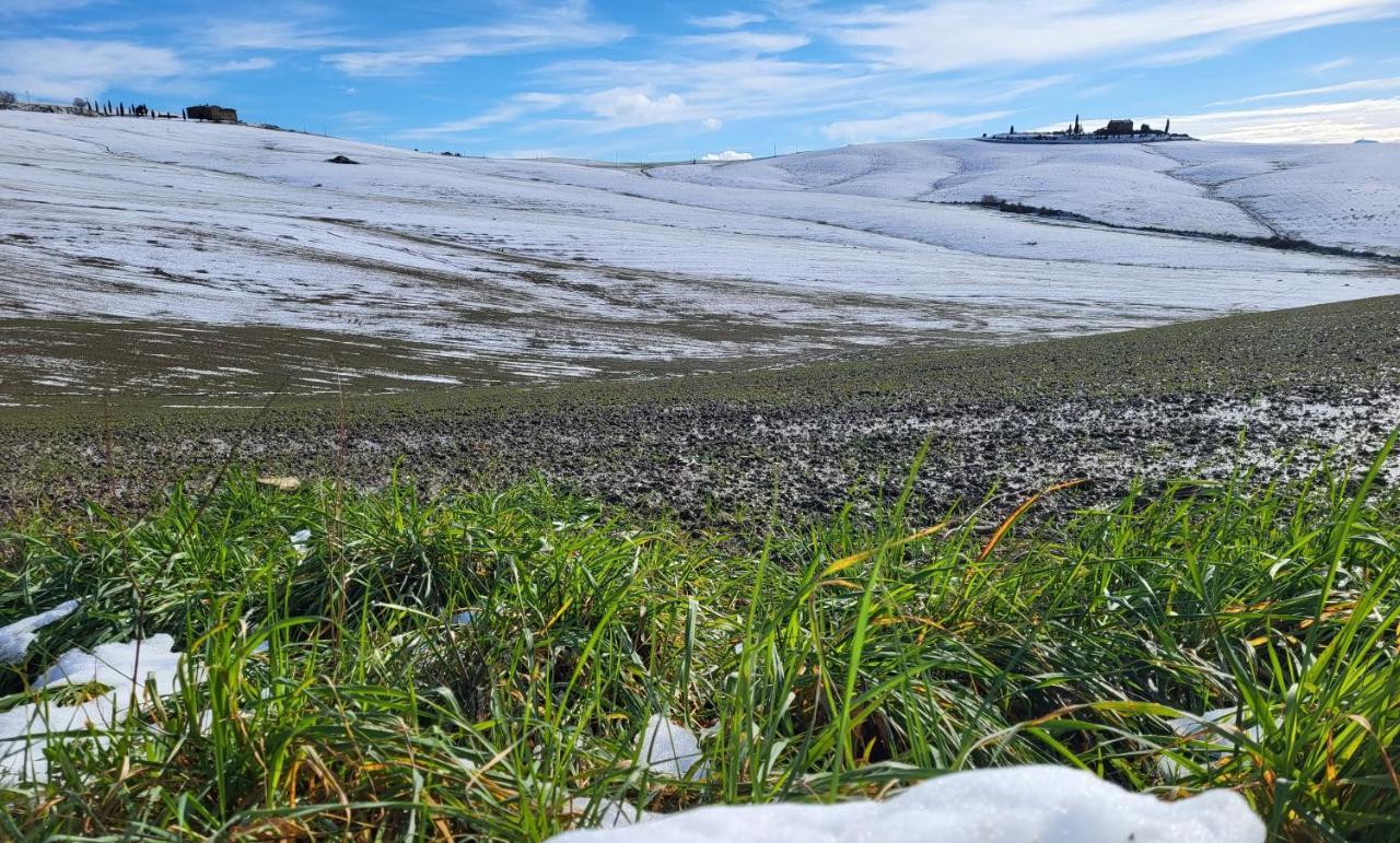 Apartament Casa Per L'Osticcio Vista Sulla Val D'Orcia Montalcino Zewnętrze zdjęcie