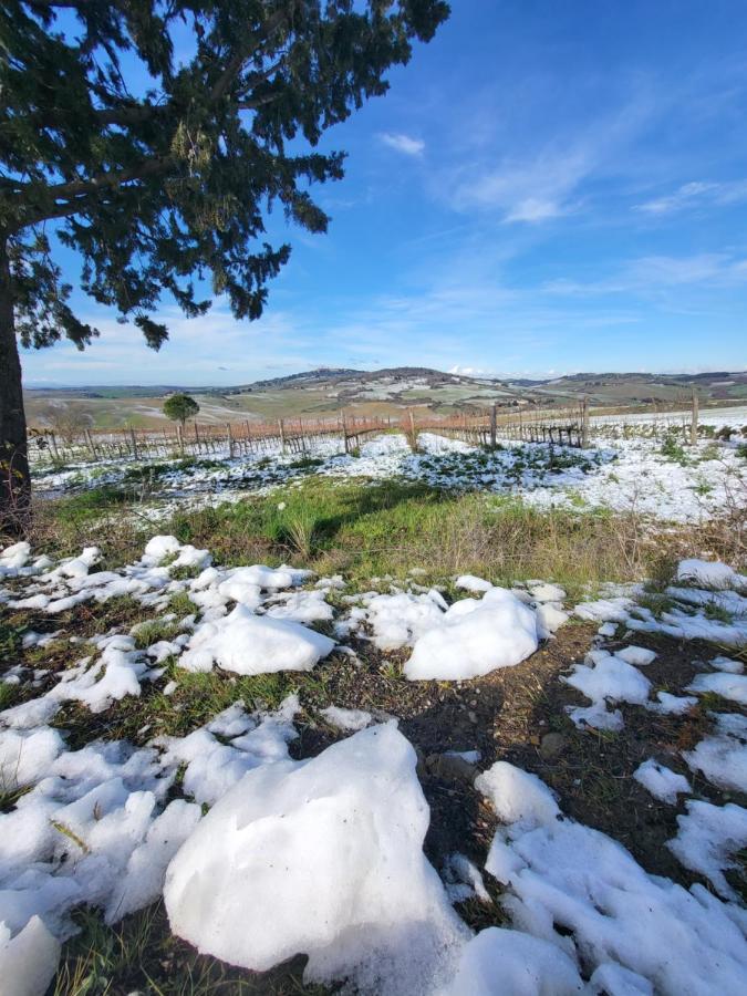 Apartament Casa Per L'Osticcio Vista Sulla Val D'Orcia Montalcino Zewnętrze zdjęcie